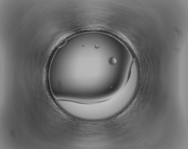 X0000112951277200909071108