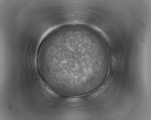 X0000112951278200909071108