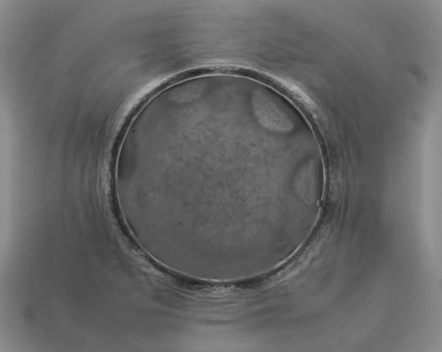 X0000112951279200909071108