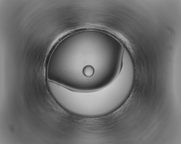 X0000112951280200909071108