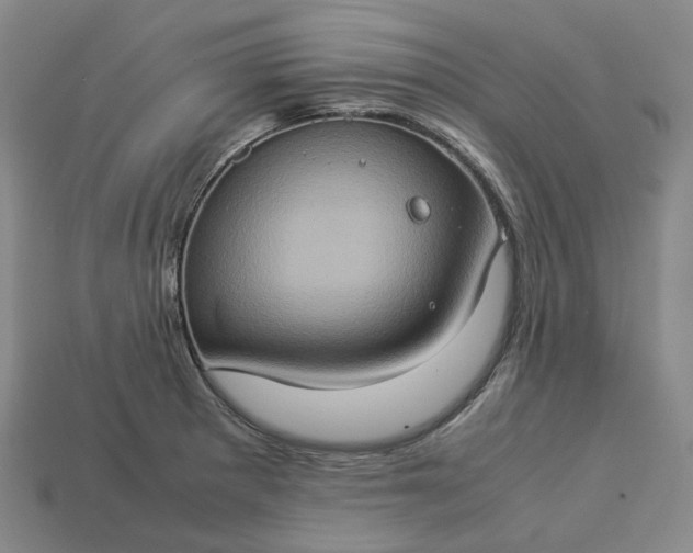 X0000112951281200909071108