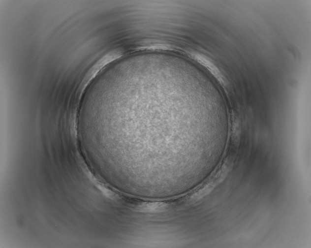 X0000112951282200909071108