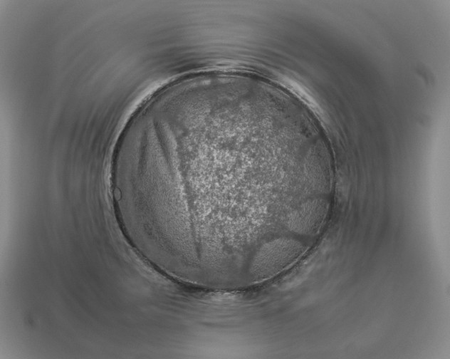 X0000112951283200909071108