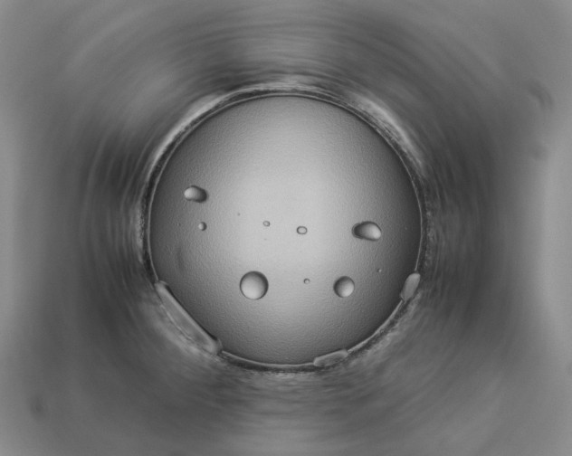 X0000112951284200909071108