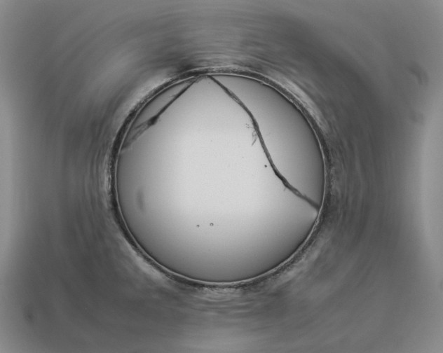 X0000112951285200909071108