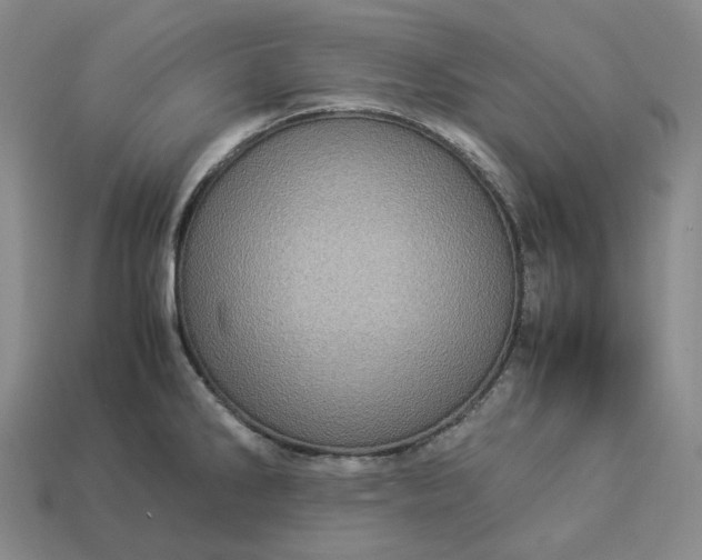 X0000112951286200909071108