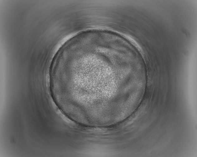 X0000112951287200909071108