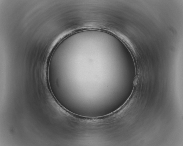 X0000112951288200909071108