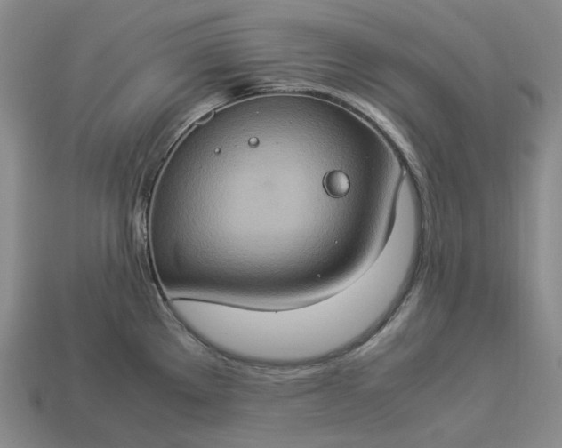 X0000112951289200909071108