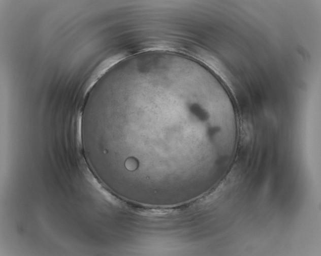 X0000112951290200909071108