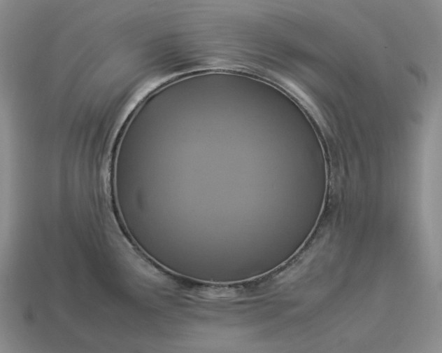 X0000112951291200909071108