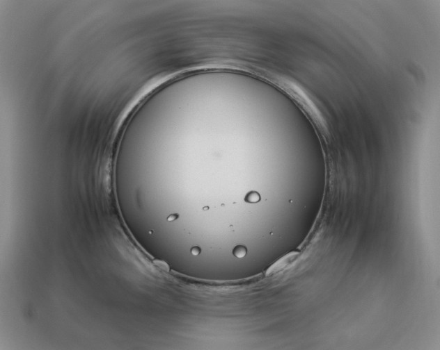 X0000112951292200909071108