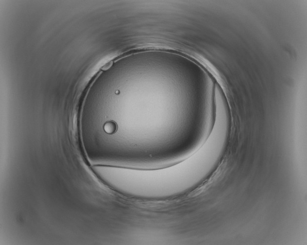 X0000112951293200909071108