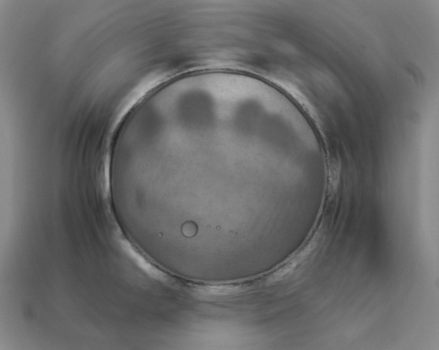 X0000112951294200909071107