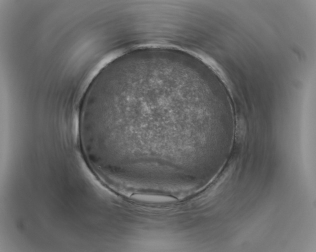 X0000112951295200909071107