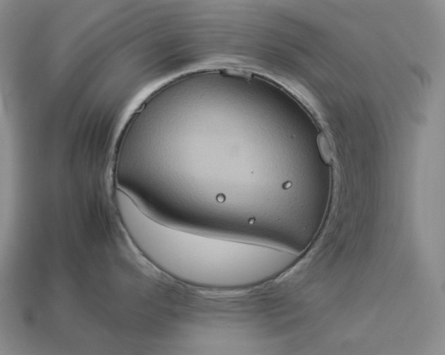 X0000112951296200909071107