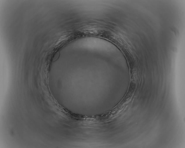 X0000112951297200909071107