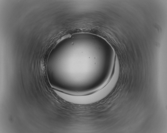 X0000112951298200909071107