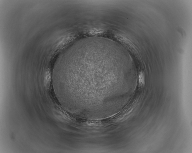 X0000112951299200909071107