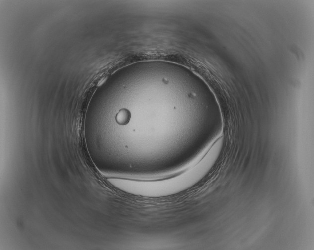 X0000112951300200909071107