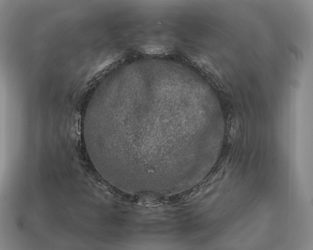 X0000112951301200909071107