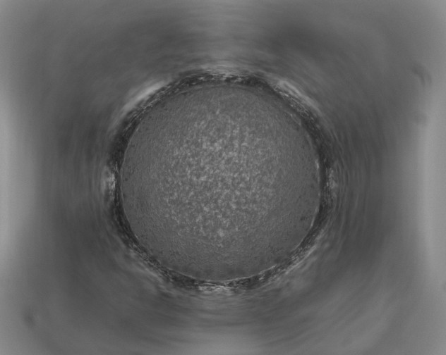 X0000112951302200909071107