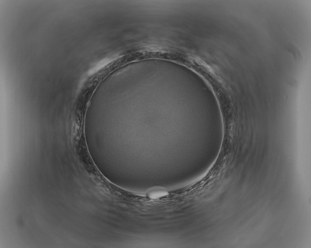 X0000112951303200909071107