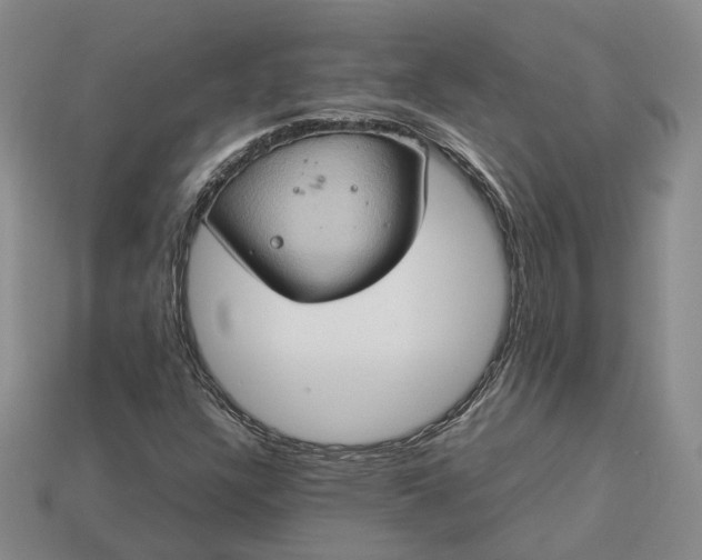 X0000112951304200909071107