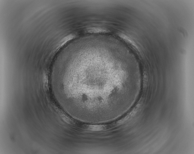 X0000112951305200909071107