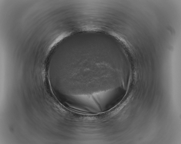 X0000112951306200909071107