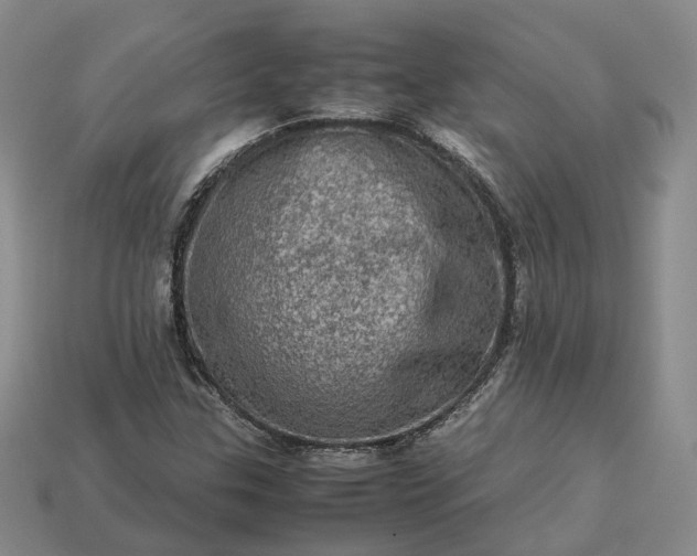 X0000112951307200909071107