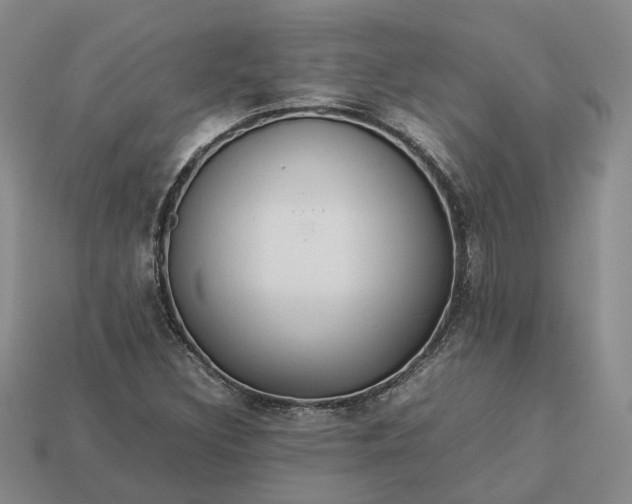 X0000112951308200909071107