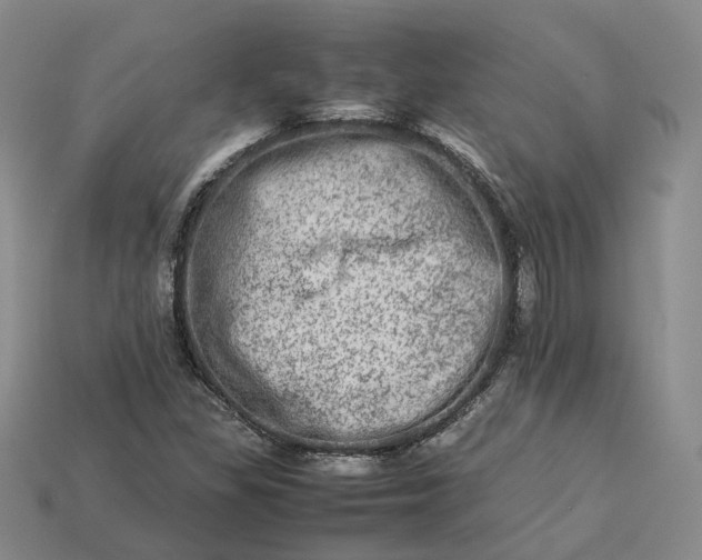 X0000112951309200909071107