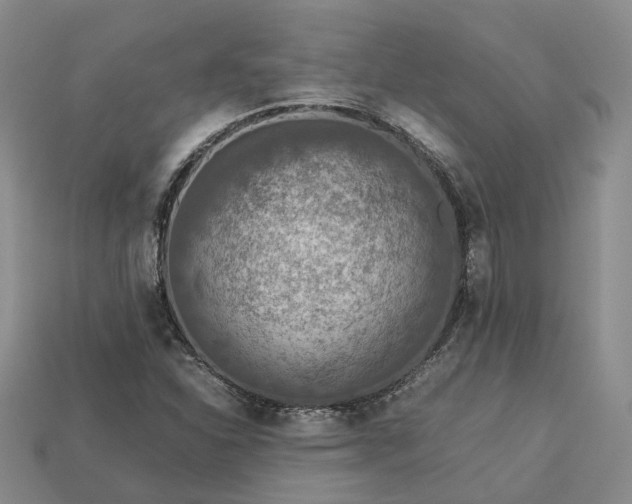 X0000112951310200909071107