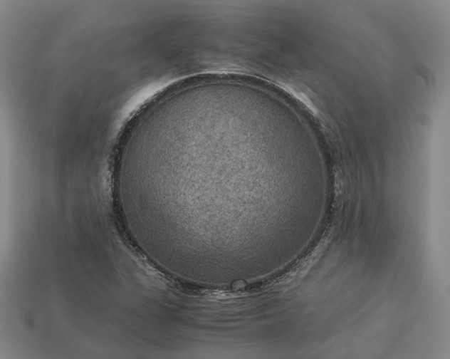 X0000112951311200909071107