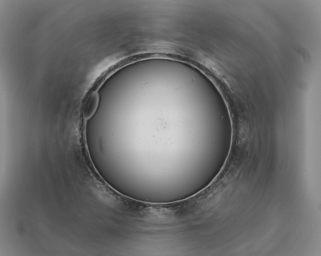 X0000112951312200909071107