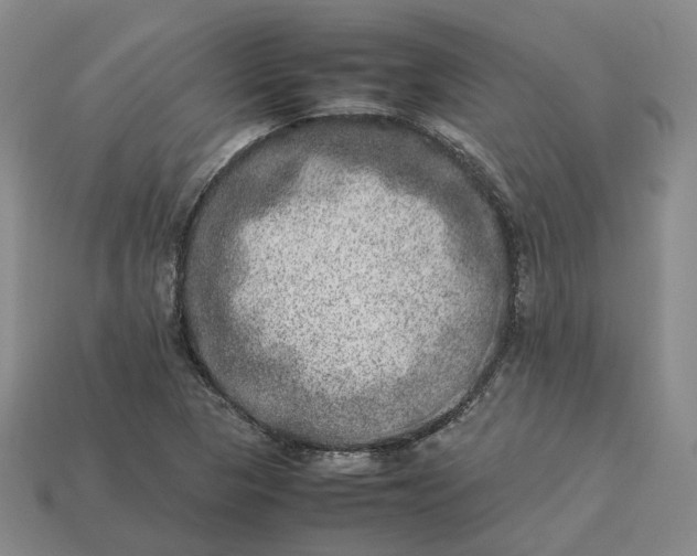 X0000112951313200909071107