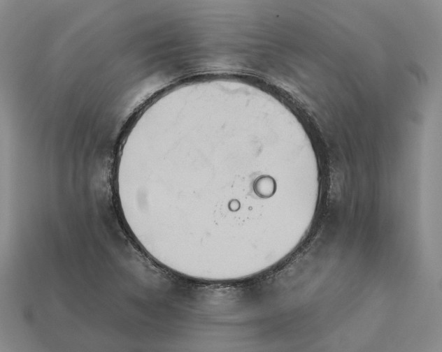 X0000112951314200909071107