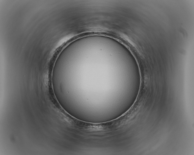 X0000112951315200909071107