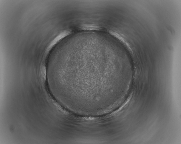 X0000112951317200909071107