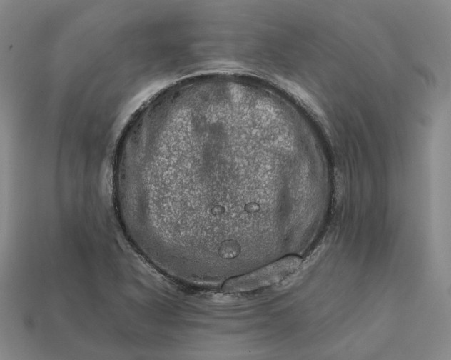 X0000112951318200909071107