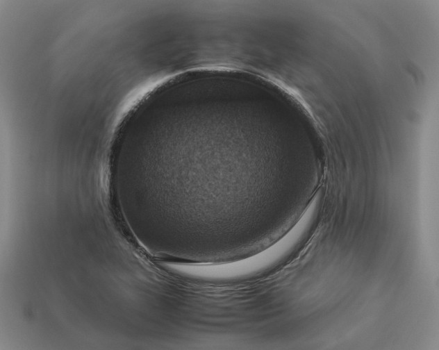 X0000112951319200909071107