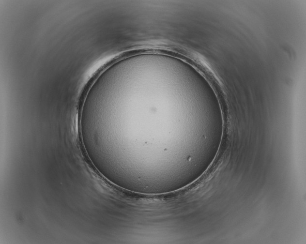 X0000112951320200909071107