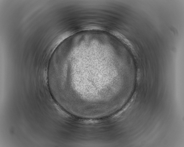 X0000112951321200909071107