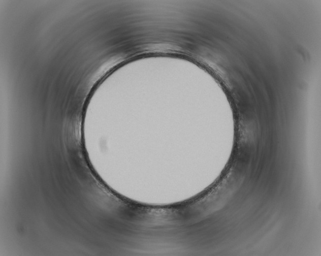 X0000112951322200909071107