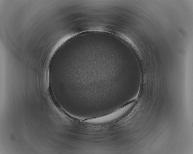 X0000112951323200909071107