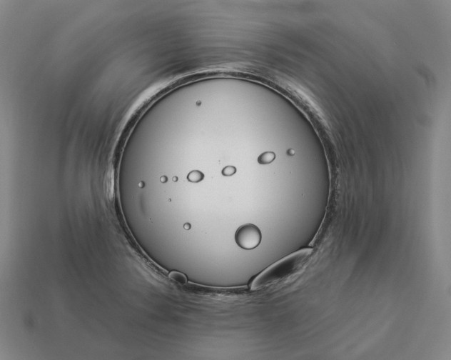 X0000112951324200909071107