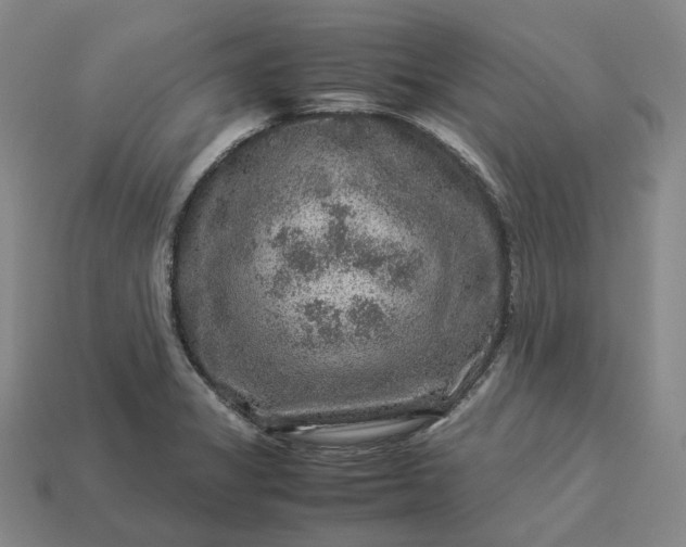 X0000112951325200909071107