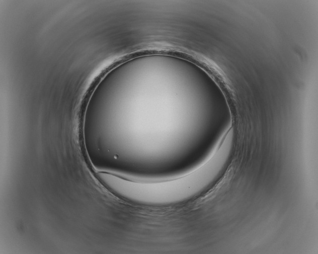 X0000112951326200909071107