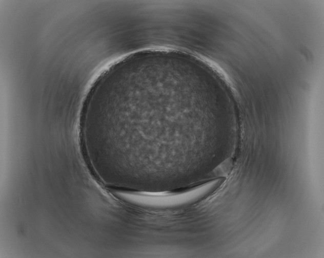 X0000112951327200909071107